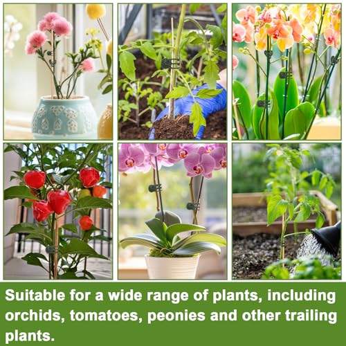 120 Pcs Plant Clips Dark Green Orchid Clips Plant Support Clips for Climbing Plants Garden Clips for Supporting Stems Vines Stalks Grow Upright
