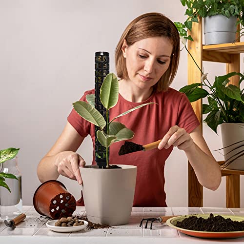 Moss Pole for Climbing Plants Monstera, Indoor Plant Supports, Plastic Moss Stick, Plant Stake for Garden, Extension Aid Climbing Rob (Black, 2pcs 10inch) - size: 2pcs 10inch