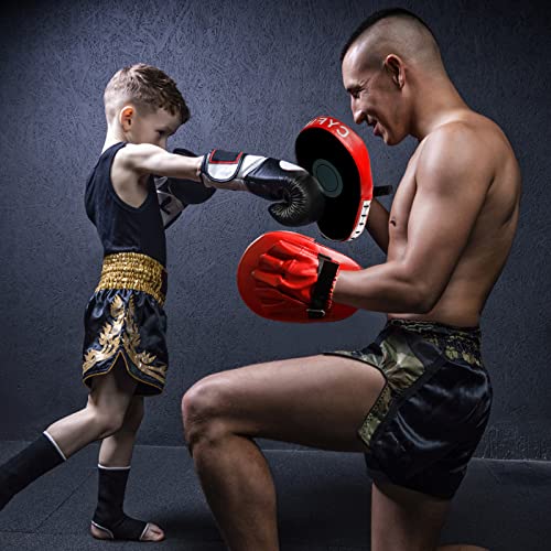 3-in-1 Boxing Training Set, Punching Mitts, Kick Pad and Target Paddle - style: Punching Mitts