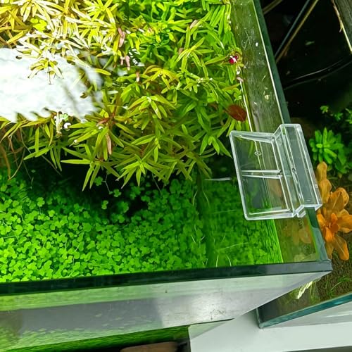 Murtenze 8 PCS Aquarium Lid Clips, 6mm Clear Acrylic Fish Tank Holder Support Clamps for Rimless Aquariums - size: 6mm