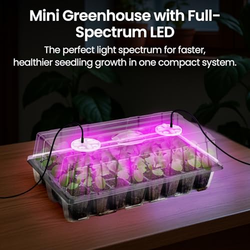 2-Pack Seed Starter Tray with Plant Light, Elevated Seedling Starter Trays Kits with Adjustable Humidity Domes and Clear Cell Tray, 12 Full Spectrum Led Lamp Beads for Plants Indoor-Clear