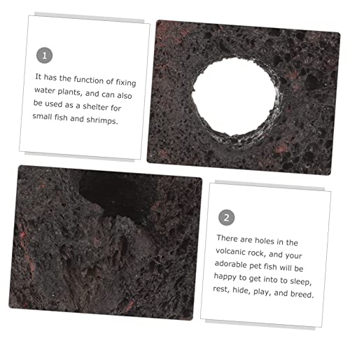 COLLBATH 10pcs Volcanic Plant Fixing Rings for Fish Tank Durable Aquarium Decoration Base for Water Plants Flexible and Easy to Clean for Aquariums