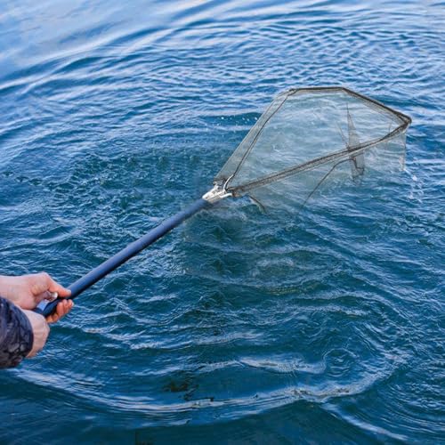 VILLCASE Foldable Detachable Triangular Fish Catch Basket Head, Stainless Steel Solid Mesh Replacement Net for Fishing, 50cm Diameter X 30cm Depth, Practical Fishing Catching Tool