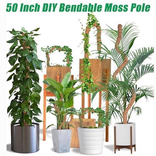 3-Pack Tall Moss Poles (50 Inch) - Coco Coir Plant Support Sticks for Potted Plants (Monstera, Pothos, Philodendron)