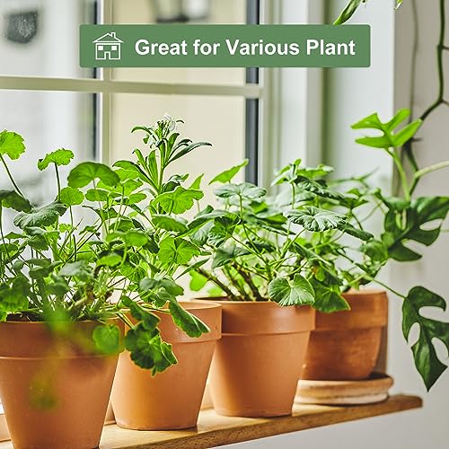 6 inch Terracotta & Clay Pots for Plants with Saucer, Medium Terra Cotta Plant Pots with Drainage Hole, Flowerpot with Tray, Terracotta Pot for Indoor Outdoor Plant - Pack of 4 Planters