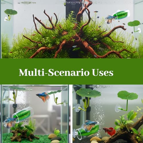 CZFSWT 4PCS Betta Hammock Set, Betta Tank Accessories, Fish Hammock Suitable for Fish Farmers, Aquarium Enthusiasts and First-Time Breeders