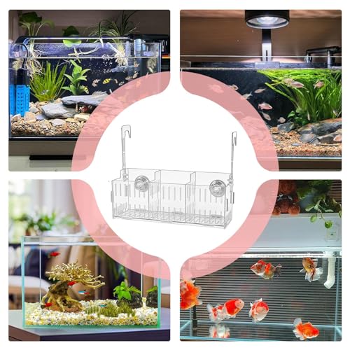 Plant Holder for Aquarium - Acrylic Hydroponic Basket Transparent Adjustable Height Aquatic Plant Holder Decoration Corner Shelf Underwater Vine Moss