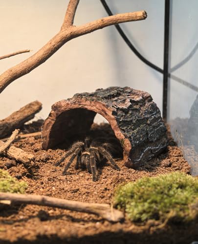 M2cbridge Resin Hollow Tree Trunk Betta Log Crab House Cave for Fish Shrimp Small Reptile Turtle Tarantula Spider Hermit Crab(2PCS Big) - size: 2pcs Big