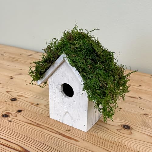 Preserved Sheet Moss - Natural Decorative Moss - Dried Moss for Crafts, Home Decor, Art, Design & DIY Projects - Non-Toxic - Green - Standard Box - Covers 5-7 sq. ft.