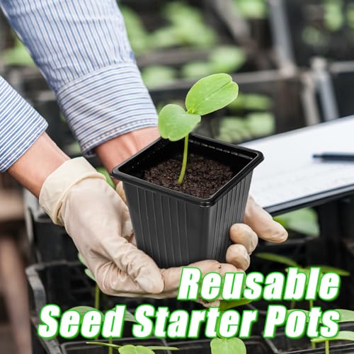 100Pcs Square Plant Nursery Pots,3.5 Inch Plastic Pots with Drainage Holes,Reusable Seed Starter Pots for Flowers,Vegetables,Garden Planting,Transplanting,Succulents,Cuttings(Black) - color: 100pcs Black