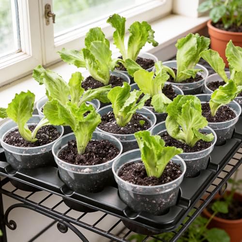 4 Inch Seed Starter Trays 2 Pack, 12-Cell | With Grow Light, Humidity Dome, 24 Pcs 4" Nursery Pots, Plastic Germination Kit - size: 4 Inch, style: 2 Pack Tray+Pots+Dome+Grow Light