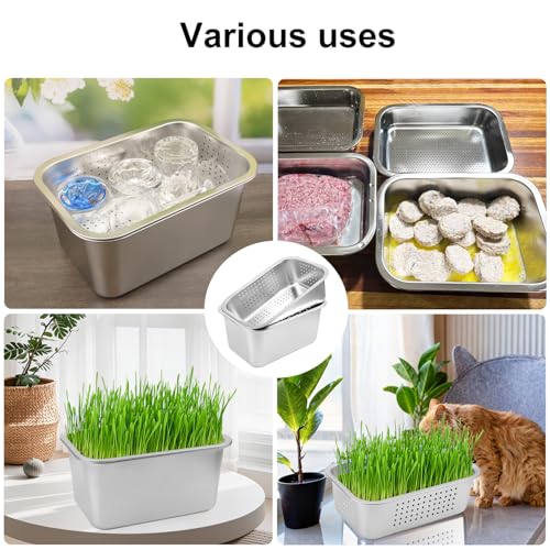2 Set (4 Pack) Stainless Steel Sprouting Tray, 13 x 9 inches Stainless Steel Germination Trays for Indoor Microgreens, Broccoli Sprouts & Wheatgrass - size: 2 Set Silver