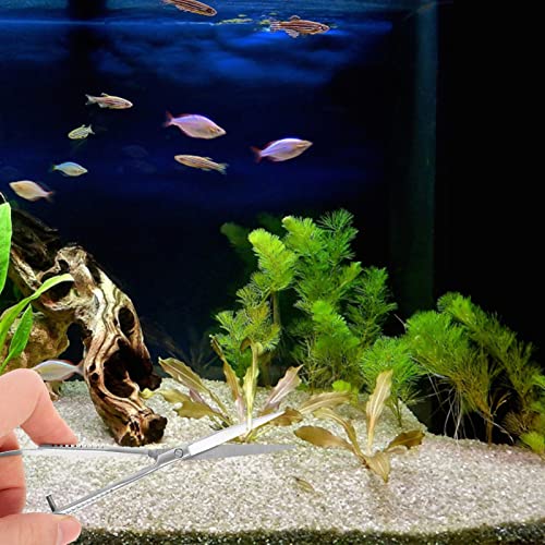 Balacoo Aquarium Scissor Stainless Steel Spring Scissor for Aquarium Fish Tank