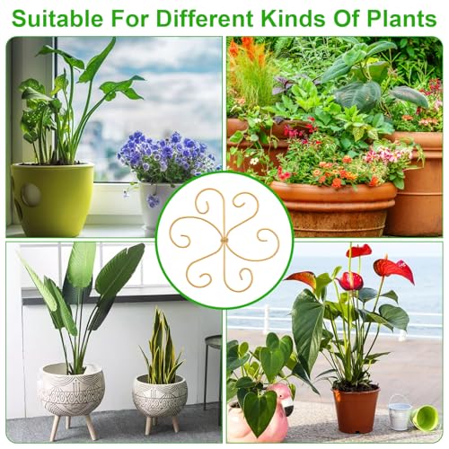 COMNICO Plant Stem Support, 6 Pcs Monstera Durable Metal Plant Holder Stakes Reusable Stem Stabilizer Turtle Shell Bamboo Clamp Set for Outdoor Indoor Plants