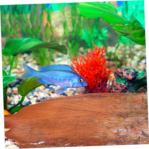 POPETPOP 5 Sheets Tree Bark Decor for Fish Breeding and Plant Accessories for Aquariums and Garden Landscaping Enhances Spaces and Atmosphere