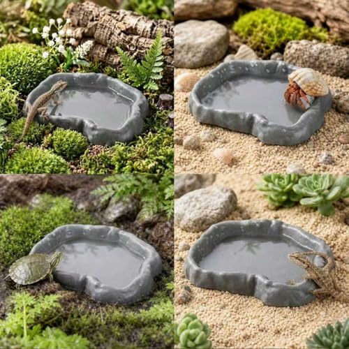 2 Pack Snail Food and Water Bowl, Pet Snail Feeder, Small Reptile Food Dish Bowl Calcium Dish for Land Snails Mini Lizard Gecko Bearded Dragon Chameleon and Hermit Crab (Cement Gray)