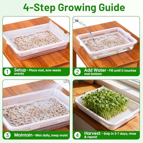 Acrylic Microgreens Growing Trays 3-Pack – Clear Hydroponic Seed Starter Kit with Silicone Mats & Spray Bottle – Reusable Plant Germination Trays for Vegetables, Wheatgrass, Cat Grass – Indoor Garden
