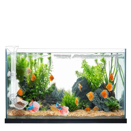 Aquarium Fish Shrimp Feeding Dish Set - Clear Feeder Tube and Dish With Cleaning Brush and Measuring Spoon for Preventing Food Scattering - Supplies for Shrimp Medium