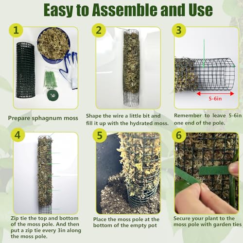 2 Pack Metal Moss Pole, 40" Moss Poles for Plants Monstera, Stackable Sphagnum Moss Pole for Climbing Plants Work with Sphagnum Moss(2 Pack 40") - color: 2 Pack 40"
