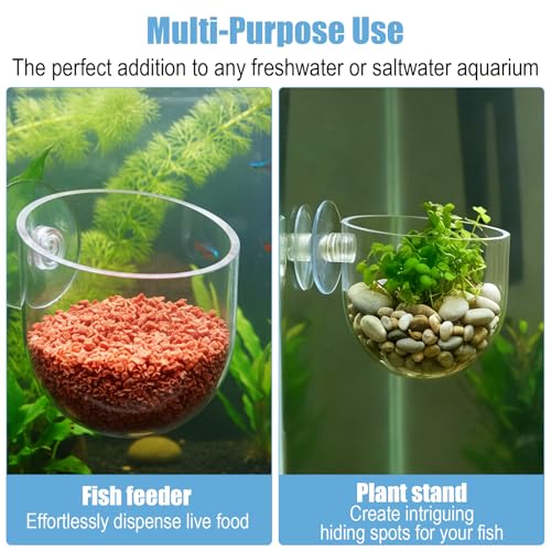 Suction Cup Plant Holder, 3 Pcs ABS Aquarium Plant Holder Transparent Fish Tank Plants Holder Aquatic Plants Cup for Aquascape Decoration