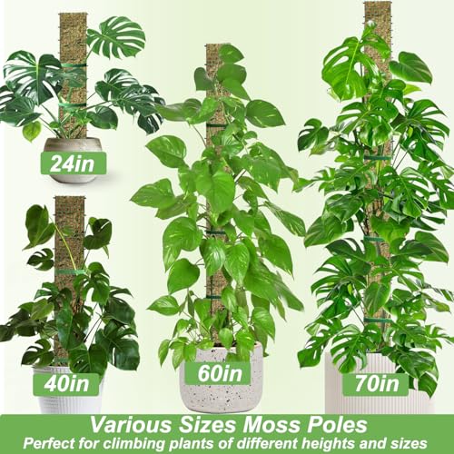 24" Metal Moss Pole, D Shape Sphagnum Moss Pole, Moss Poles for Climbing Plants, Monstera, Indoor Climbing Plants (2Pcs 24")