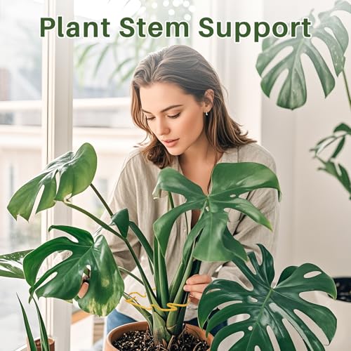Monstera Plant Support for Indoor Plants Metal Plant Stem Holder Plant Support Ring for Climbing Plants Stem Stabilizer (6.29 * 7.08inch/ 5) - size: 6.3*7.1/5