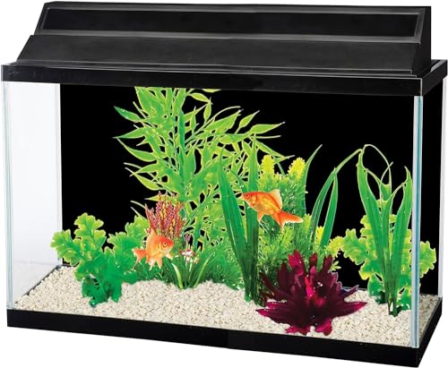 Penn-PLAX Double-Back Roll-A-Scene Aquarium Background – Double Sided Roll – Midnight Sea (Black) / Caribbean Blue – 19” x 50’
