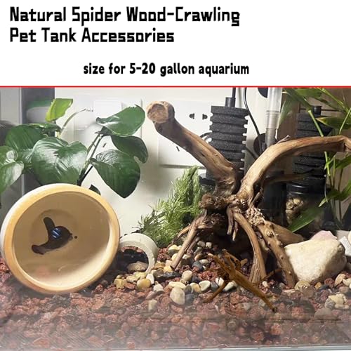 4PCS Driftwood for Aquarium 8-10in Natural Spider Wood Reptile Branches Fish Tank Log Ornament Aquarium Trunk Decoration - size: M:Spiderwood (8-10in 4PCS)