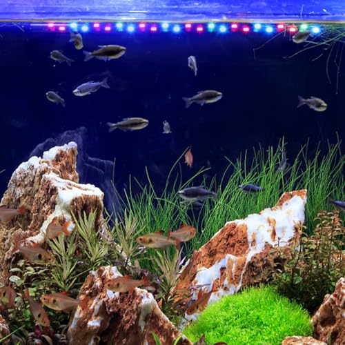 balacoo Aquarium LED Light, Full Spectrum Hidden Fish Tank Light for Aquarium Landscaping, Plants Grow, 8W (US Plug)