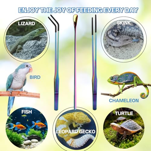 10.6" Colorful Reptile Feeding Tongs Set with Spoon(3 Pack) | Terrarium & Aquarium Essential Feeding Tools,Appropriate Length,Stainless Steel,Straight & Curved,Soft Rubber Tips