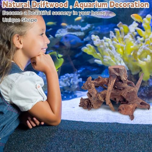 Natural Large Driftwood for Aquarium Fish Tank Decorations, Driftwood for Reptile Tank Bearded Dragon Tank Accessories Terrarium Decor (7.5 to 14.5 inches / 2 Pack)