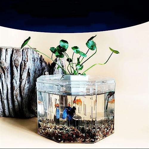 MACIUM Fish Bowl Vase Small Fish Tank Isolation Box Breeding Special Acrylic Transparent Fish Tank with Pump Filtration Ornamental Fish Tank Desktop Ornaments Small Fish Tank Starter Kit