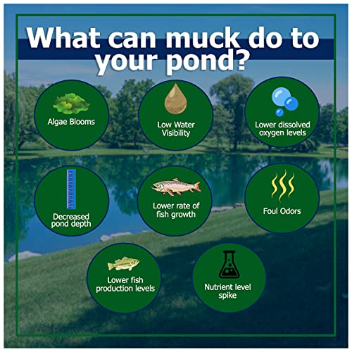 Muck Remover Pellets 10 lb Pond Tablets Treat 2.5 Acres |