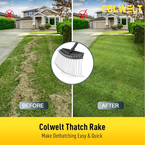 Thatch Rake, Dethatcher Rake with Thin, Curved Spring Steel Tines, Dethatching Thatching Rake for Lawns with 61’’ Steel Handle, Lawn Tine Rakes for Pine Needles, Dead Grass, Garden Debris