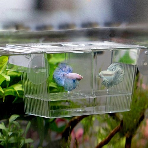 Aquarium Fish Tank Guppy Double Breeding Breeder Rearing Trap Box Hatchery Direct