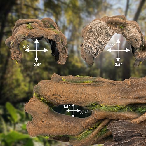 Lizard, Snake or Reptile Hide. Large Hollow Log for Terrarium. Bearded Dragon or Gecko Tank Accessories. Natural Looking Basking Platform, Axolotl, Python Hideout. (XL-Version 2)