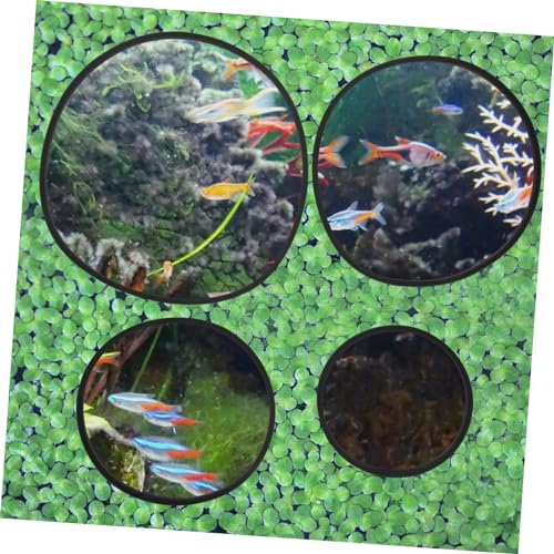 Happyyami 5pcs Fish Tank Grass Retaining Ring Fish Tanks Floating Plant Rings Floating Plants Rings Fish Feeder Fish Tank Plants Rings Aquarium Plant Holder Set Eva