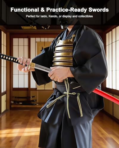 Katana Samurai Sword for Display, Hand Forged Full Tang 1045 Carbon Steel - style: Red Dragon