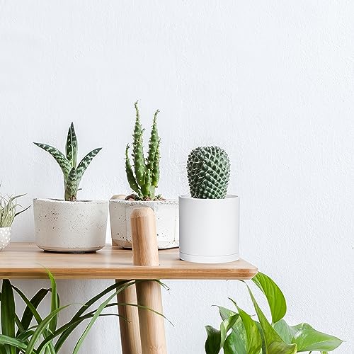 D'vine Dev 6 Pack 4 Inch Modern Plastic Plant Pots, Small Garden Planters for Plant with Drainage Holes and Saucers, White Color, 74-Z-E-3 - size: 4"