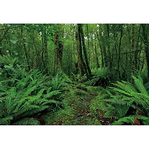 7x5ft Green Jungle Forest Backdrop for Photography Spring Woods Rainforest Natural Scenery Outdoor Wonderland Background Picnic Camping Adventure Photo Booth Studio Props