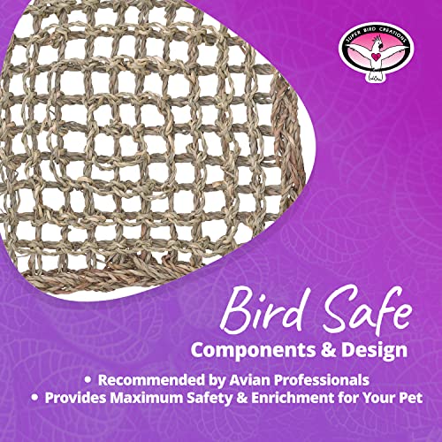 Super Bird Creations SB50007 Seagrass Mat for Cage Decor, Pet Enrichment and Boredom Relief - Versatile Toy-Making Base - Ideal for Parrots - Small to Large Birds & Reptiles - 7"x12" (1 Pack)