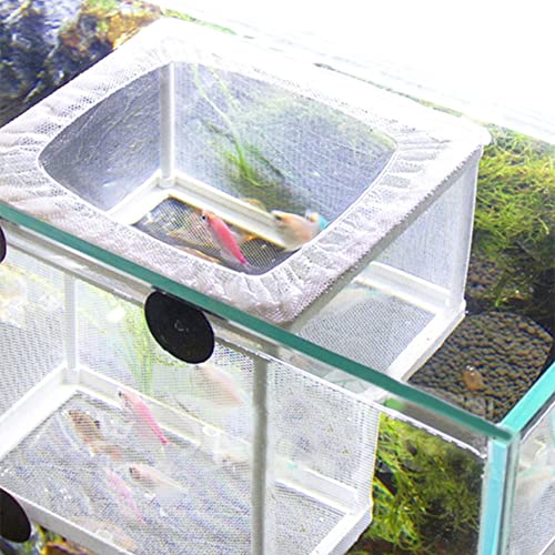 Fish Nursery for Aquarium, Fish Breeder Net, Fish Hatchery Isolation Box, Baby Fish Tank Divider with Suction Cups, Small Size, 14.5cmx15.5cmx16cm