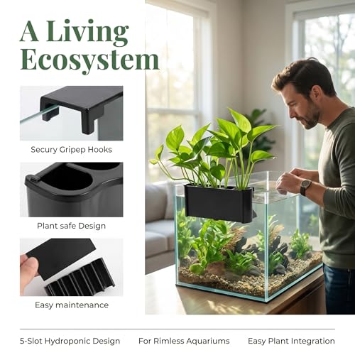 2 Pack Aquarium Plant Holder, Open Face Hanging Planter Cup for Emersed Plants, Fish Tank Aquatic Plant Pot with 5 Holes, Hydroponic Aquascape Decoration for Shrimp and Fish (Black Rimless)