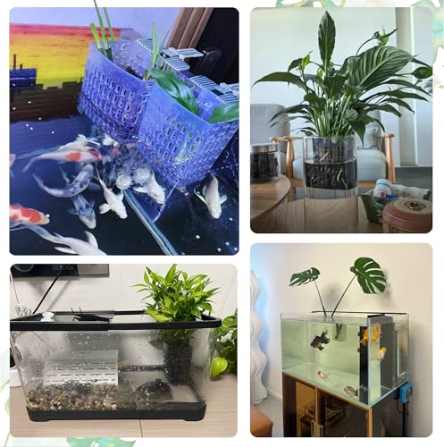 2PCS Adjustable Aquarium Plant Holder, Aquarium Planter Cup Adjustable Thickness to 2.36" Height to 3.9", Fish Tank Plant Holders with Hooks and Suction Cup for Fish Tank Accessories Clear - color: Clear