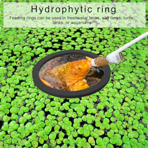 Fish Tanks Floating Plant Rings Set of 5pcs Aquarium Floating Plant Holder Plant Rings Fishtank Feeding Circles