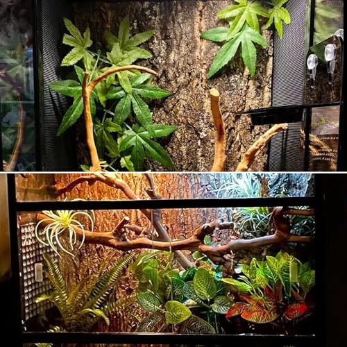 1PCS Thickened Cork Terrarium Bark Background, 11.8"x7.8" Natural Cork Bark for Reptiles Bearded Dragon Climbing Mat Reptile Climbing Wall Terrarium Background Decor for Lizard Gecko Snake