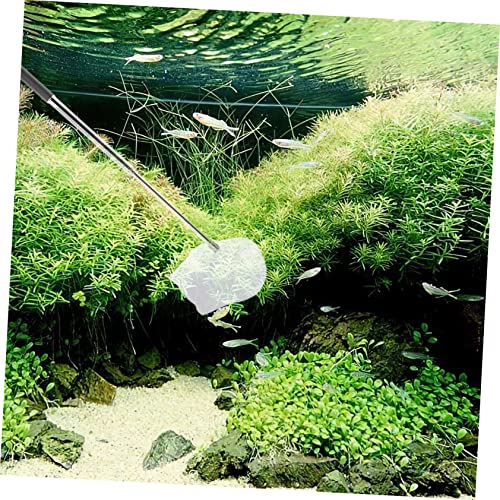 Toddmomy 4pcs Small Telescopic Fish and Shrimp Net Heavy Duty Handle for Aquarium Cleaning and Debris Skimming Design for Ponds and Creeks