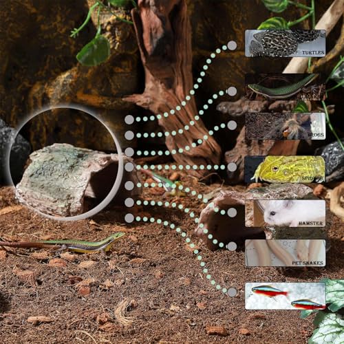 IBWell 2 Pack Aquarium Hideout Reptile Cave Betta Log Resin Hollow Tree Trunk Ornament Terrarium Tank Decoration for Fish Turtle Small Reptile - Short