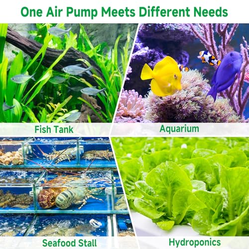 hygger Quiet Adjustable Aquarium Air Pump, 5W/8W Dual Output Fish Tank Air Pump, Energy-Saving Oxygen Aerator with Air Stone Bubbler for Fish Tank, Hydroponic