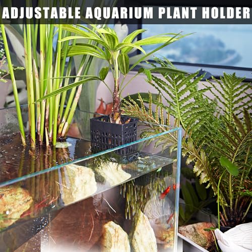 4pcs Upgraded Adjustable Aquarium Plant Holder,Fish Tank Plants Holder,Fish Tank Aquaponics Plant Cultivation and Aquarium Landscape Decoration with Hooks and Suction Cup (Black)